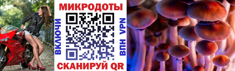 что такое наркотик  Карачев  Псилоцибиновые грибы GOLDEN TEACHER 